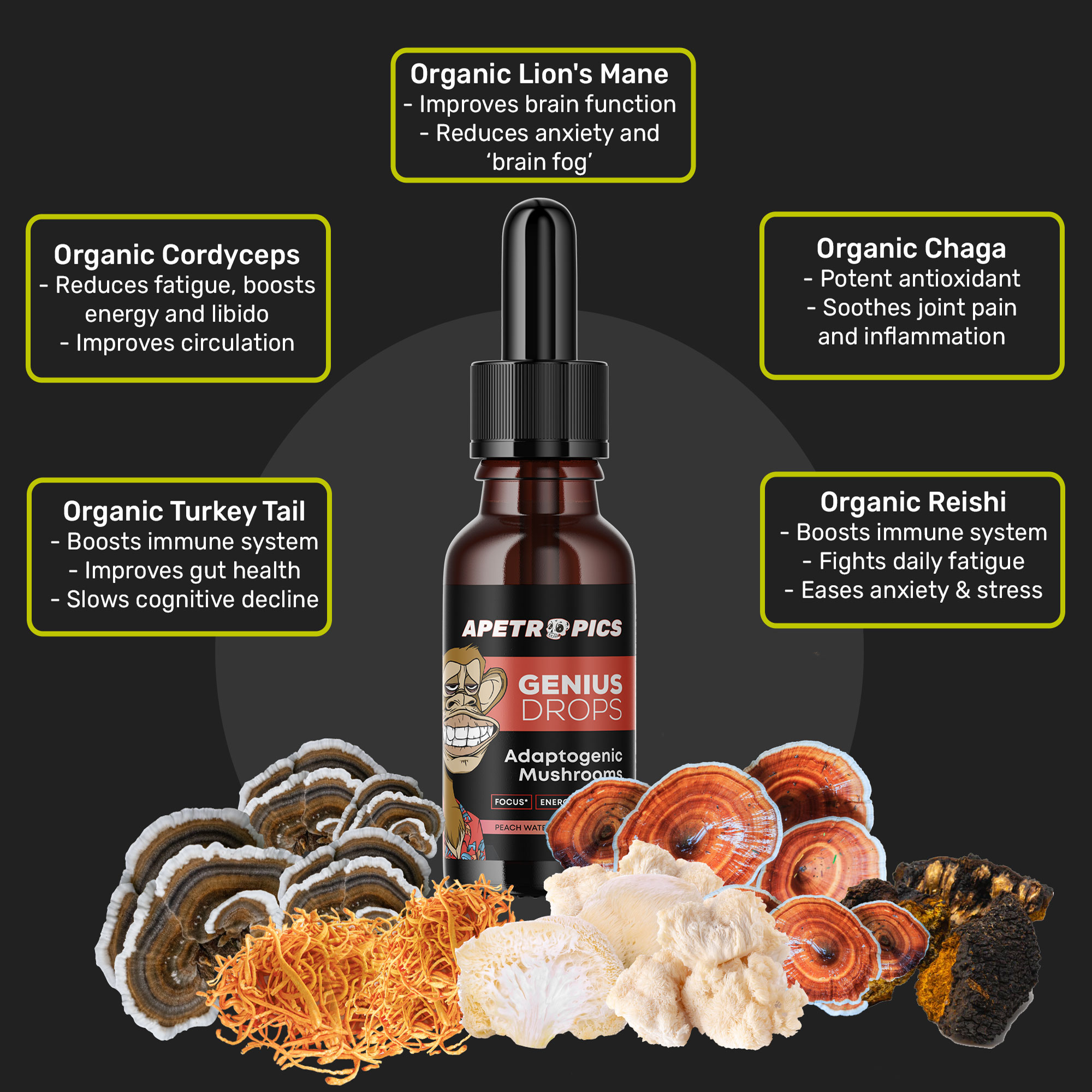 Apetropics Nootropics, Nootropics, Functional Mushrooms | Apetropics